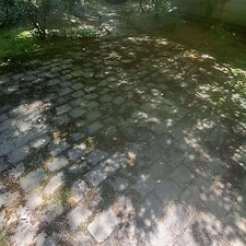 Spring-pressure-washing-for-Kirkland-springs-apartments 17